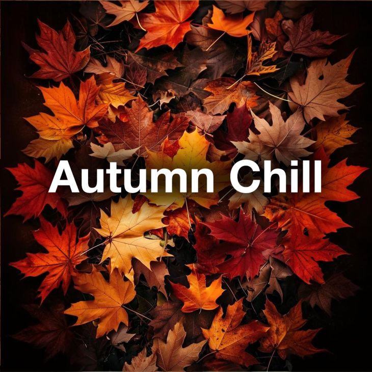 Autumn Chill  2025 🍁🍂 Fall Hits